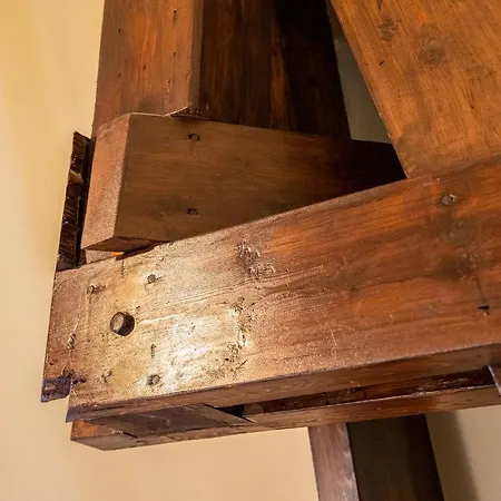 New Park Edition Adults Only 4*