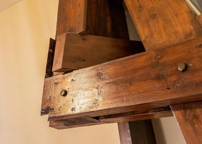 New Park Edition Adults Only 4*